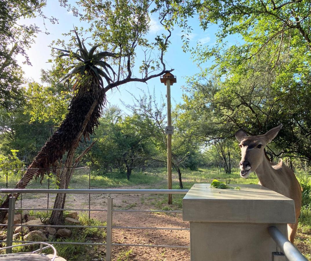 Kruger'S Keep - Luxury Couples Haven Villa มาร์ลอทพาร์ค ภายนอก รูปภาพ